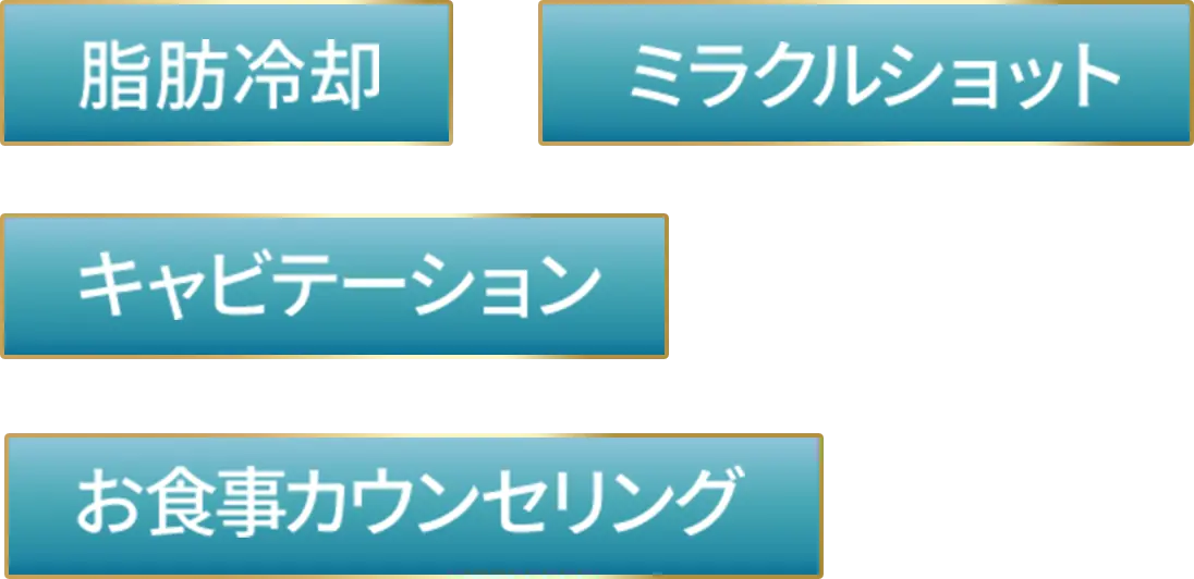 脂肪冷却・ミラクルショット・キャビテーション・お食事カウンセリング